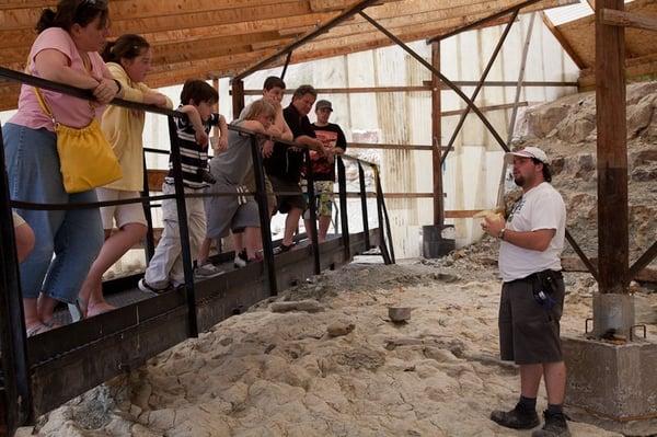 Dig site at Wyoming Dinosaur Center