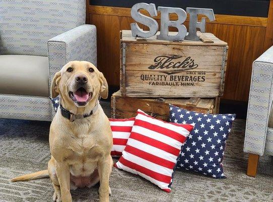 Our mascot Mauney supporting the red, white and blue