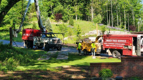 Timber Tree Service