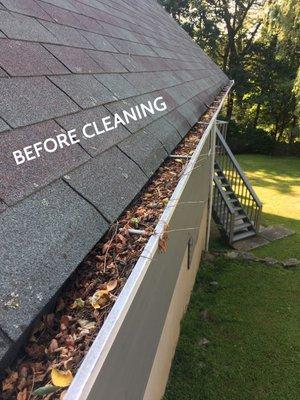 Before Gutter Cleaning