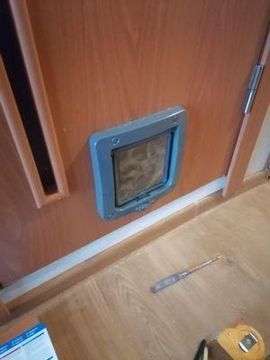 cat door installation