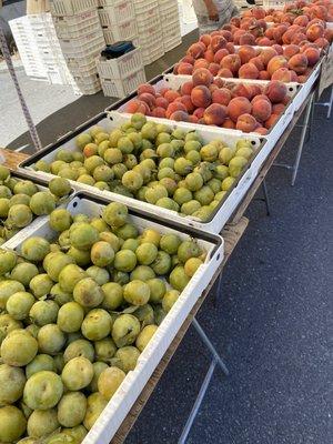 Some great looking hard stone fruit at the Inner Sunset Farmers Market San Francisco