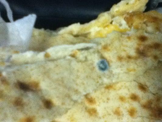 Moldy chicken wrap