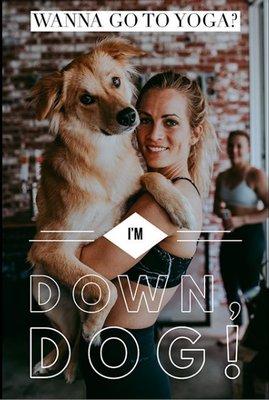 Oh yeah, I'm down, dog!