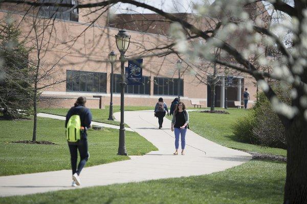 Cedarville University