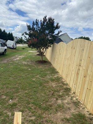 Arch Top privacy fence