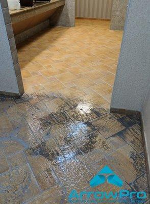 Residential and Commercial Tile & Grout Cleaning.