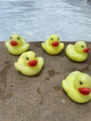 Our trademark lovable ducks