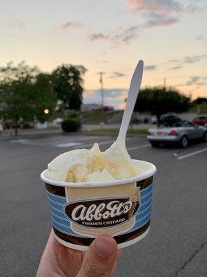 Small vanilla frozen custard