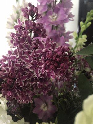 Lilacs. My favorite flowers.