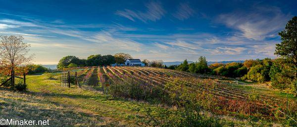 Bumgarner Winery