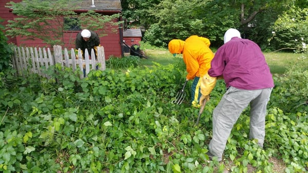 For patches that cover entire sides on a yard, I try to bring helpers.