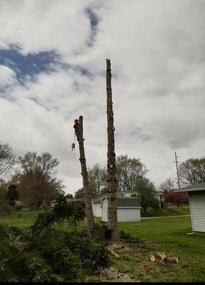 Billiters Tree Service