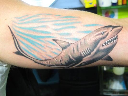 Shark Aquatic Tattoo