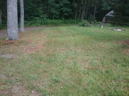 Instead of using the driveway - he drove across the lawn! these are four deep trenches (hard to see here).