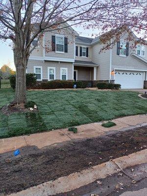 Sod install