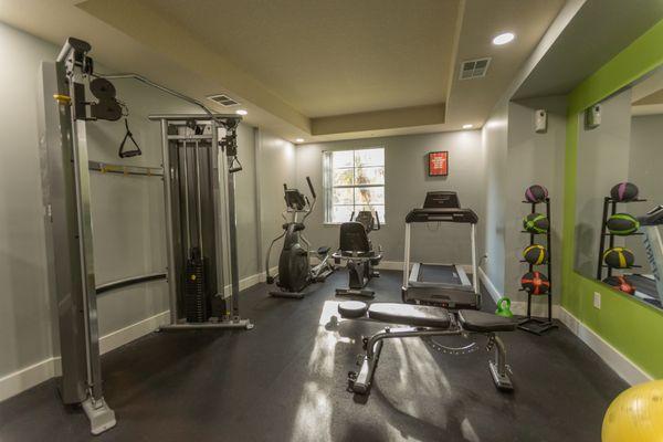 Our spacious gym with lake view. We have free weights, plenty of cardio machines and medicine balls for any workout.