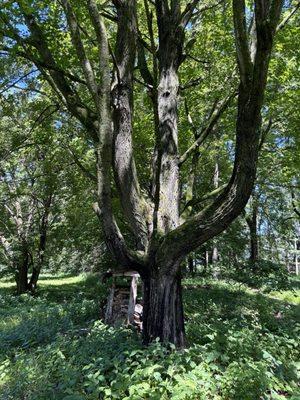 Aldo Leopold Foundation