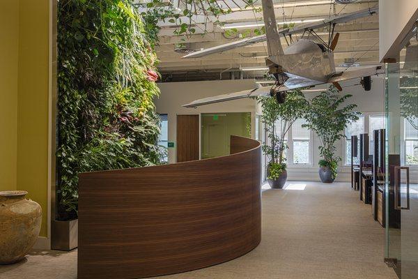 Biophilic design in Palo Alto office.  Living wall and planted trees