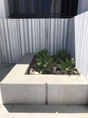 Grey striped marble surrounds a concrete corner modern planter.