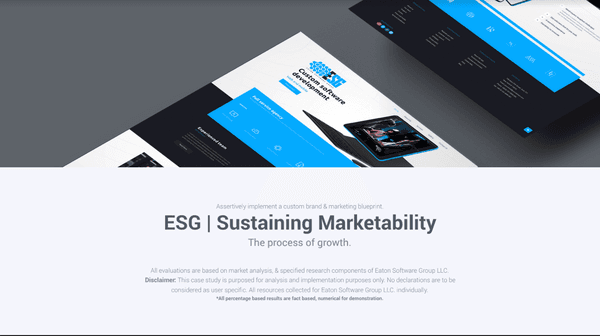 MARKETING STRATEGY | MARKETING CASE STUDY FEATURING ESG | THE IBRAND PROCESS