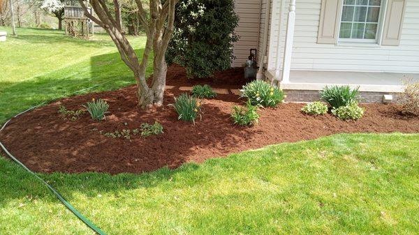 Landscaping and Mulch