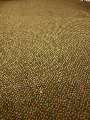 Not sure whats all over the carpet.