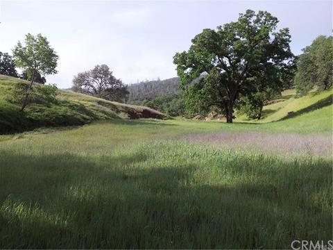 Green lush countryside's with meadows and trees