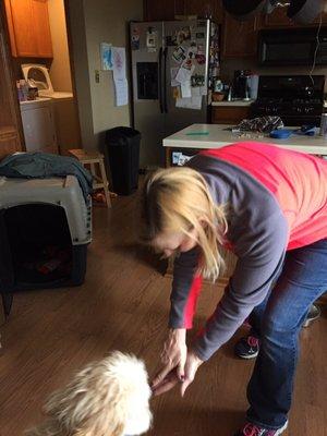 Cristy working with our puppy Jackman.