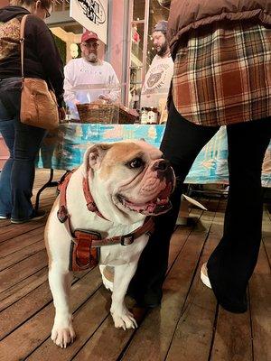 The Farm Market at Mill No. 5 is Dog friendly!