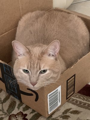 I just can't get enough box time....