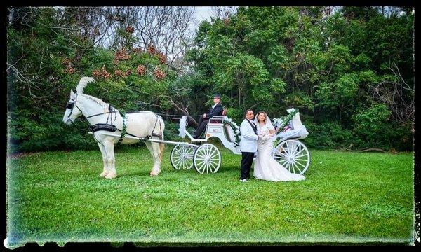 Wedding Carriages