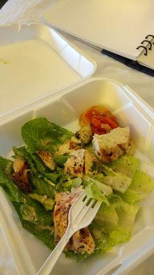 Franklin Square Salad with Chicken $16