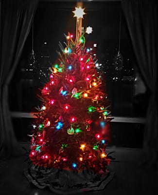 My beautiful Tyler's Tree!