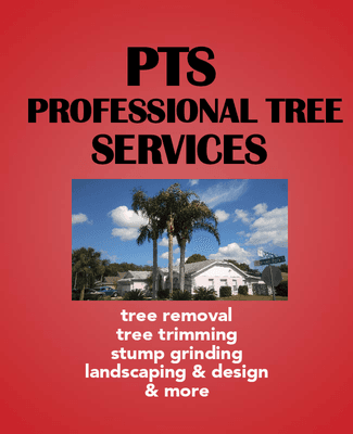 Blands Tree Services