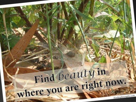 Find beauty in where you are now.