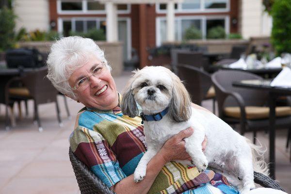 Terrace With Dog