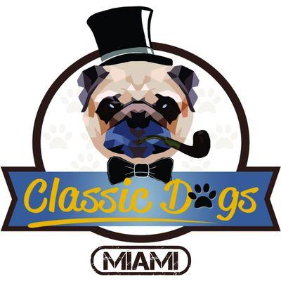 Classic Dogs Miami is more than Grooming!!!