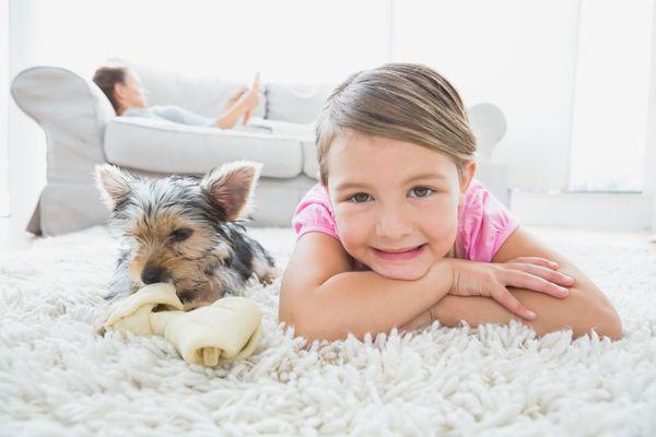 We clean carpets as well!  Keep your home healthy by having a professional clean your carpets every 6 months.