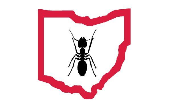 Buckeye Exterminating inc.