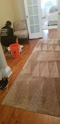 Area rugs  Silk deep cleaning