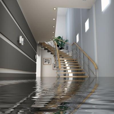 Professional Water Damage Restoration in Alaska Anchorage