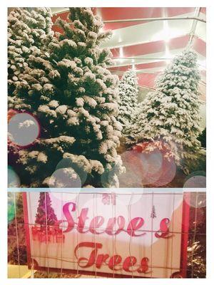 Back at the one and only Steve's Trees! #Family #Traditions #Napa :)