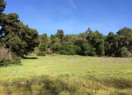 Santa Rosa West, 26 Acres residential land, Murrieta.