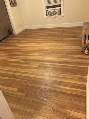 AFTER: The completely refinished living room floor with amber-tinted polyurethane.