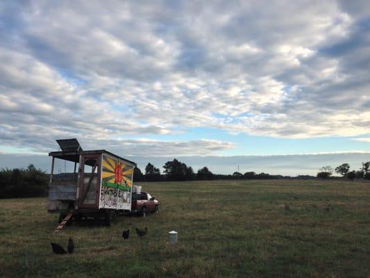 The Egg Mobile where Rose Creek's chickens sleep! Love those farm-fresh eggs!