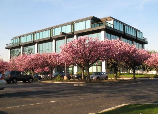 Corporate 505 Office in Hackensack, NJ