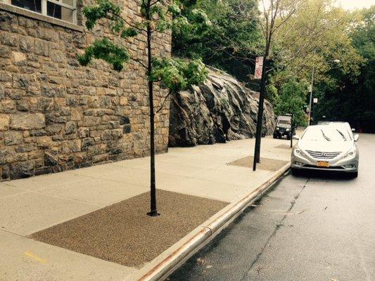 Porous Pave Tree Pits in NYC