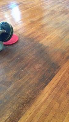 Hardwood Floor Restoration