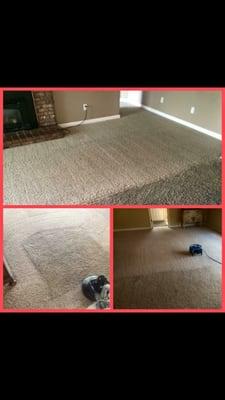 Extreme Carpet Tile & Grout Cleaning